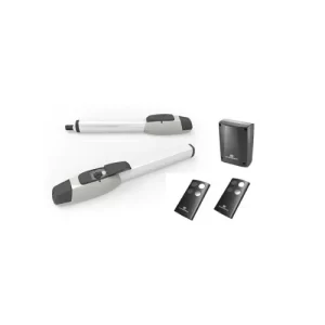 CONJUNTO DE MOTOR PIVOTANTES